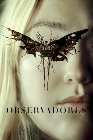 Os Observadores 2024