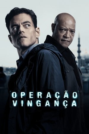 Operação Vingança 2025