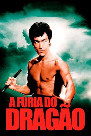 A Furia do Dragao