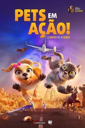 Pets em Ação! 2024