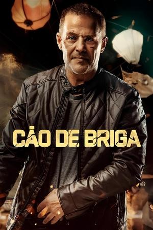 Cão de Briga 2024