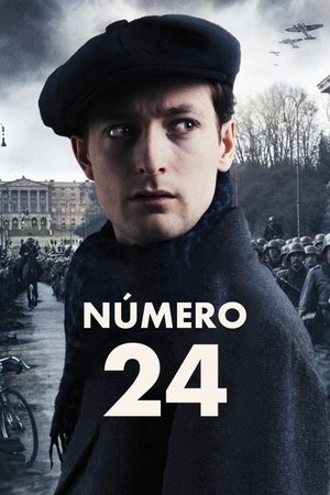 Número 24 2024