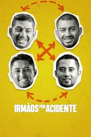 Irmãos por Acidente 2024