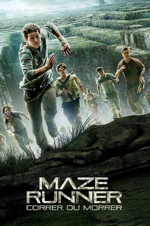 Maze Runner: Correr ou Morrer 2014