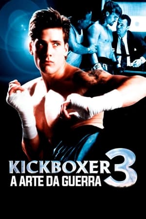 Kickboxer 3