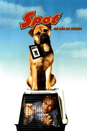 Spot - Um Cão da Pesada 2001