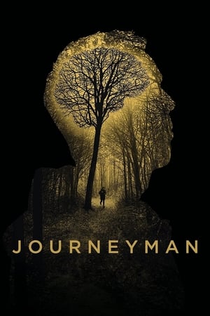 Journeyman: Fora de Combate