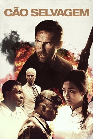 Cão Selvagem 2017