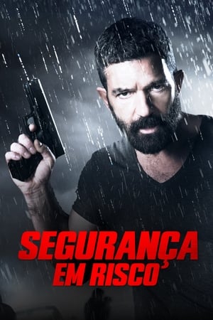 Segurança em Risco 2017