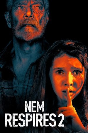 O Homem nas Trevas 2