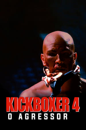 Kickboxer 4