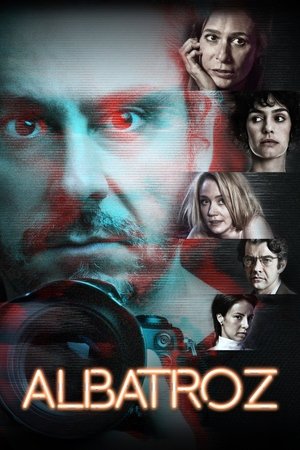 Albatroz 2019