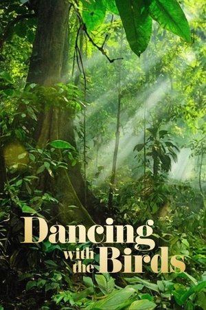 Danca dos Passaros
