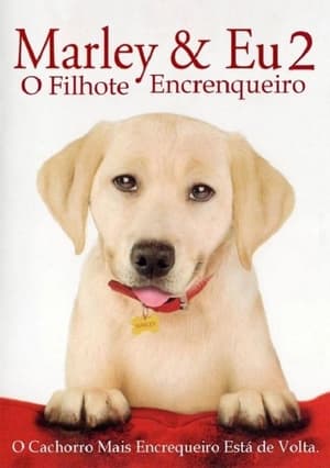 Marley & Eu 2 Filhote Encrenqueiro