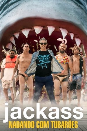 Jackass Nadando com Tubaroes