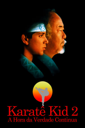 Karatê Kid 2 - A Hora da Verdade Continua