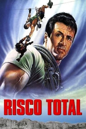 Risco Total 1993