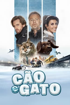 Cão e Gato 2024