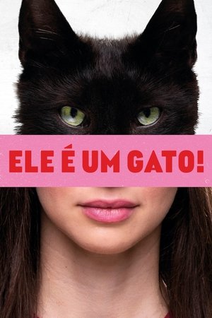 Ele é Um Gato! 2023